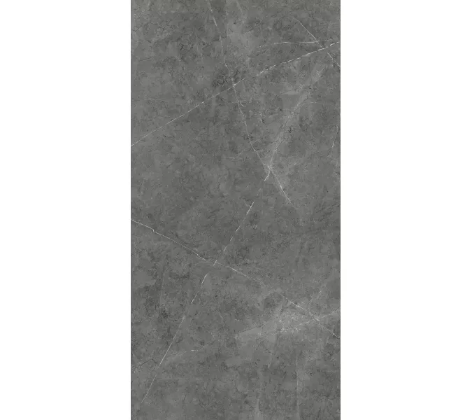 Керамогранит Nioba_GT Темно-серый  60x120 /кв.м, Выбрать цвет: Темно-серый, изображение 4