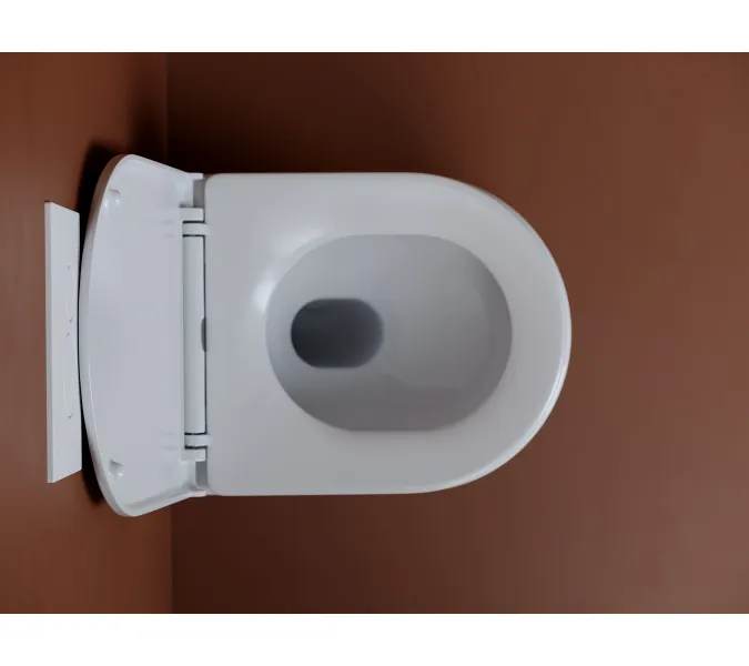 Подвесной унитаз CERAMICANOVA UP безободковый, смыв торнадо, Выбрать цвет: Белый, изображение 7