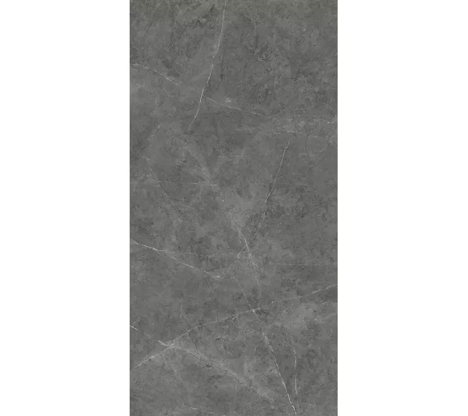 Керамогранит Nioba_GT Темно-серый  60x120 /кв.м, Выбрать цвет: Темно-серый, изображение 6