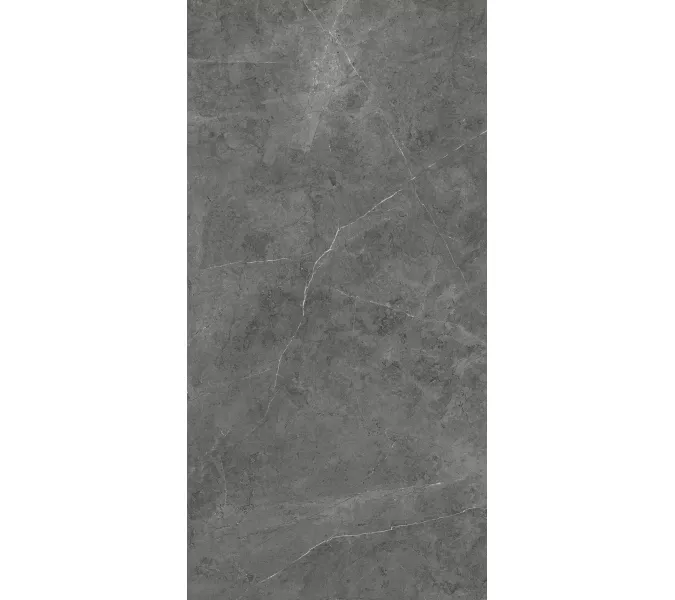 Керамогранит Nioba_GT Темно-серый  60x120 /кв.м, Выбрать цвет: Темно-серый, изображение 7