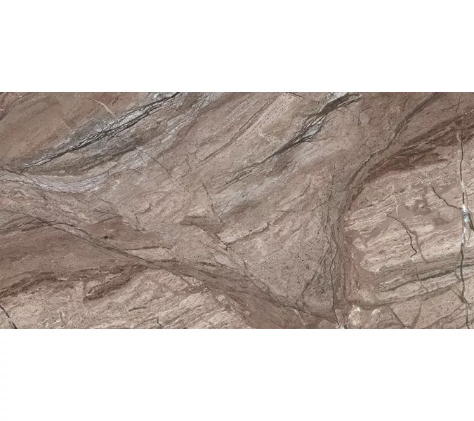 Плитка облиц. Sonesta GT Коричневый  50*25, Выбрать цвет: Коричневый, Выбрать размер: 50х25, изображение 4