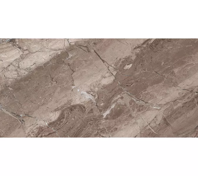 Плитка облиц. Sonesta GT Коричневый  50*25, Выбрать цвет: Коричневый, Выбрать размер: 50х25, изображение 5