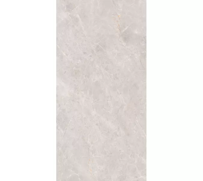 Керамогранит Montera_GT Светло-серый 60x120, изображение 5