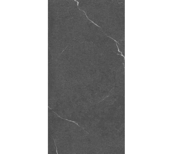 Керамогранит Lakeside_GT Черный 60x120, Выбрать цвет: Черный, изображение 4