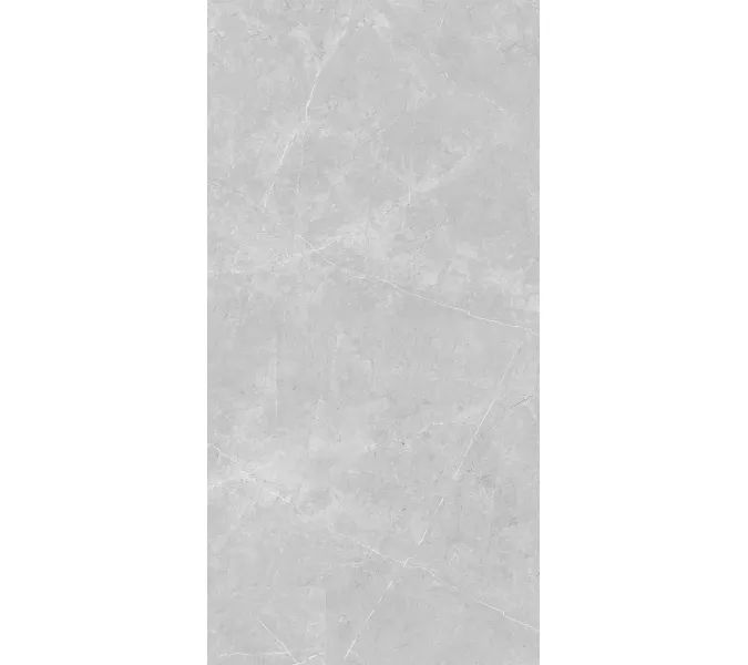 Керамогранит Nioba_GT Серый 60x120, Выбрать цвет: Серый, изображение 2