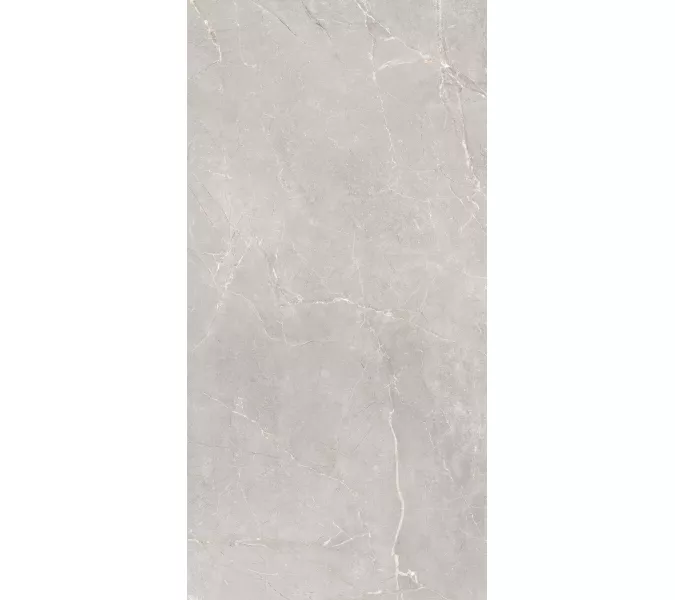 Керамогранит Sogdiana_GT Серый 60x120, Выбрать цвет: Серый, изображение 2