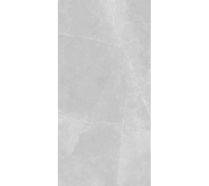 Керамогранит Nioba_GT Серый 60x120, Выбрать цвет: Серый, изображение 3