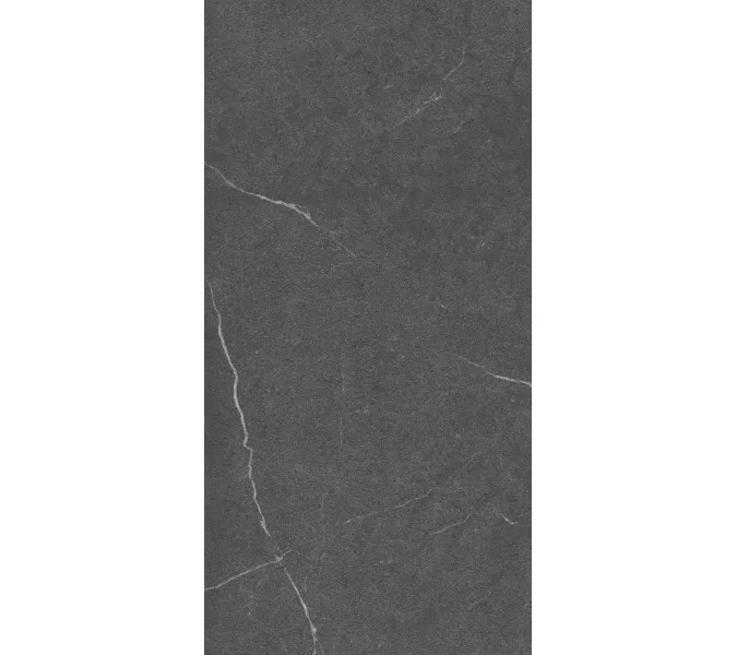 Керамогранит Lakeside_GT Черный 60x120, Выбрать цвет: Черный, изображение 5