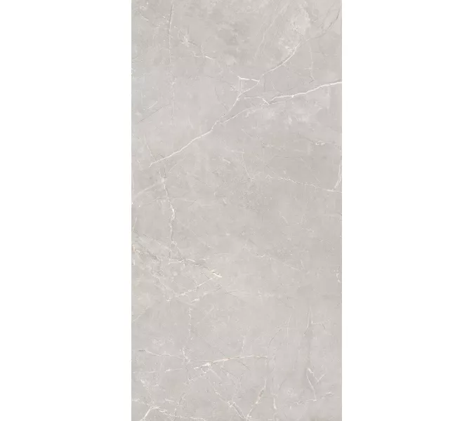 Керамогранит Sogdiana_GT Серый 60x120, Выбрать цвет: Серый, изображение 5