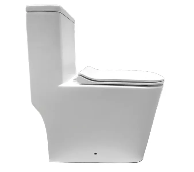 Унитаз-моноблок напольный Triton Mono Pro MO-8706, изображение 2