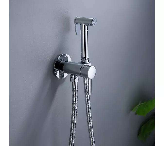 Душ гигиенический ACWEN 82003 хром, Выбрать цвет: Хром, изображение 6