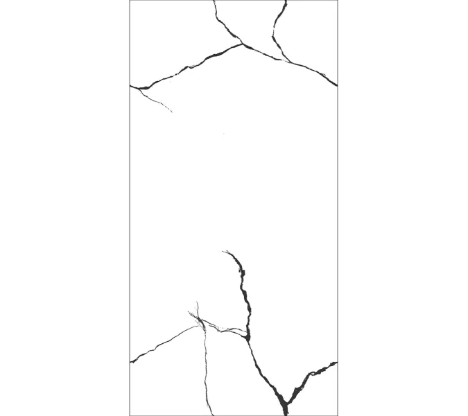 Керамогранит AVS Bettal Black 60x120 полированный/карвинг, Внешний вид: Полированная, изображение 2