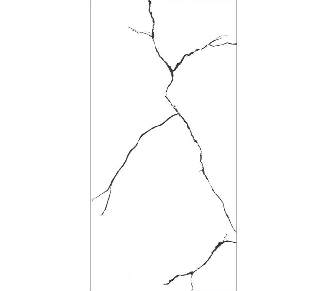 Керамогранит AVS Bettal Black 60x120 полированный/карвинг, Внешний вид: Полированная