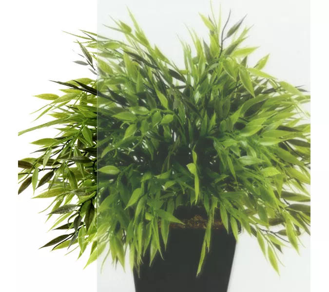 Душевая перегородка Triton Плано 80/100 Хром, Цвет профиля: Хром, Выбрать размер: 80, изображение 4