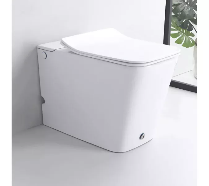 Унитаз Ceruttispa CT7269 DISGRAZIA Pulse приставной с функцией импульсного смыва