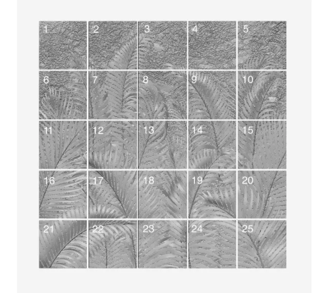 Панель - панно гипсовая 3D ARTPOLE PLIADA, изображение 2