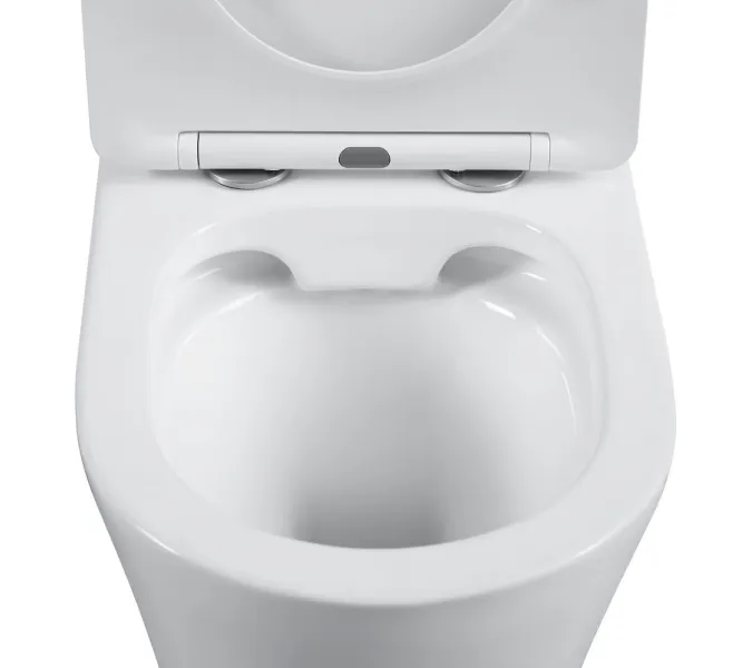 Унитаз керамический Black&White W-7793, изображение 3