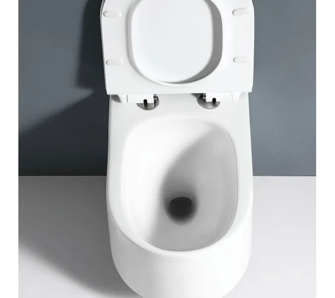 Унитаз подвесной RGW SW-54, изображение 4