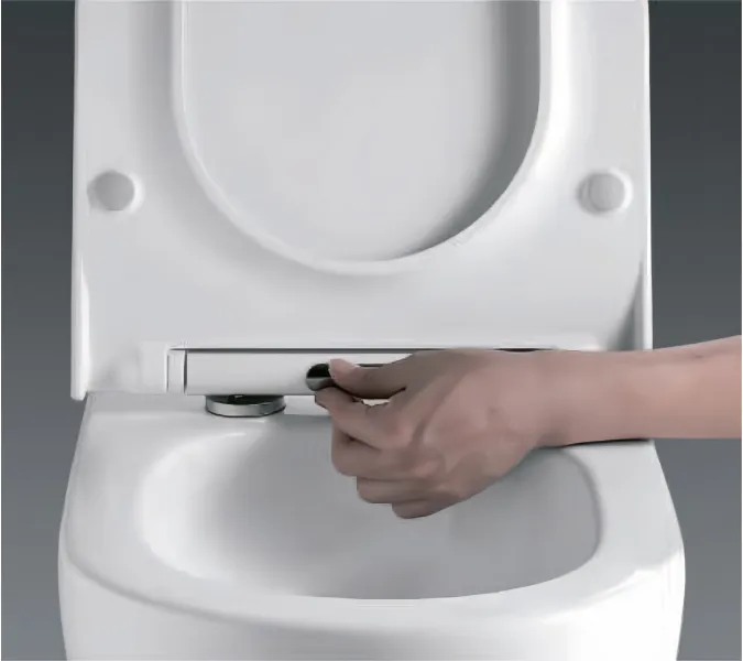 Унитаз подвесной RGW SW-52, изображение 6