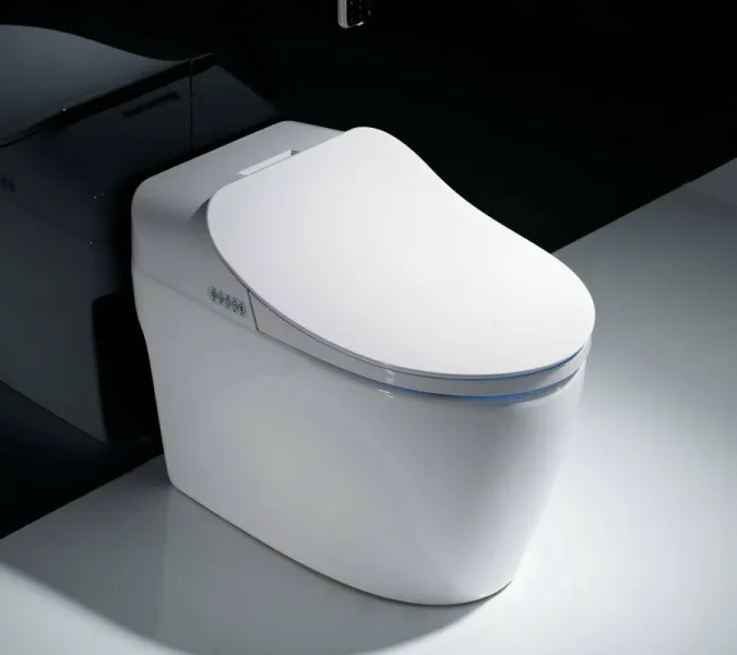 Электронный унитаз-биде TIMO ТЕ-721, изображение 2