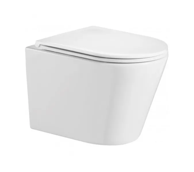 Подвесной унитаз WeltWasser Salzbach SK WW 004GL-WT