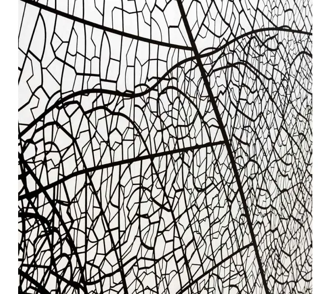 Душевая перегородка AvaCan MB100/110/120, Цвет стекла: с рисунком, Цвет профиля: Черный, Выбрать размер: 120, изображение 109