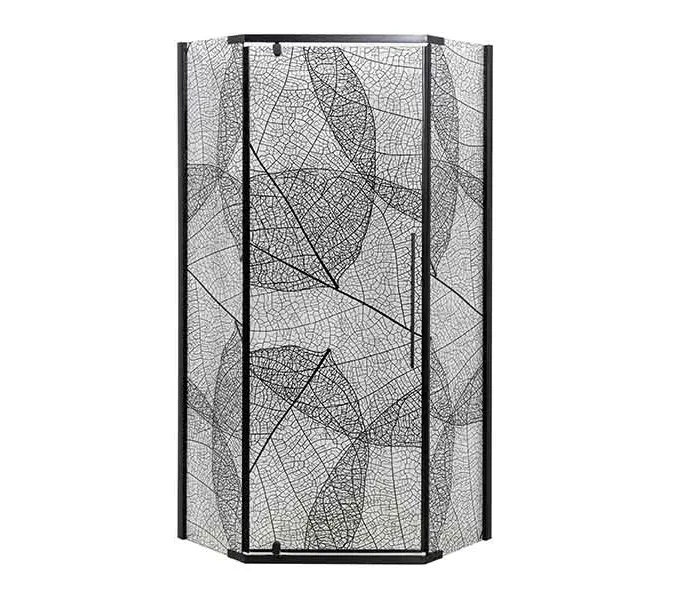 Душевой уголок AvaCan PB 90/100, Цвет стекла: с рисунком, Цвет профиля: Черный, Выбрать размер: 90х90, изображение 11