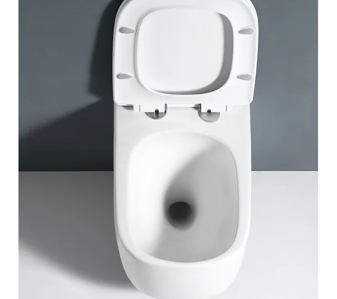 Унитаз подвесной RGW SW-53, изображение 20