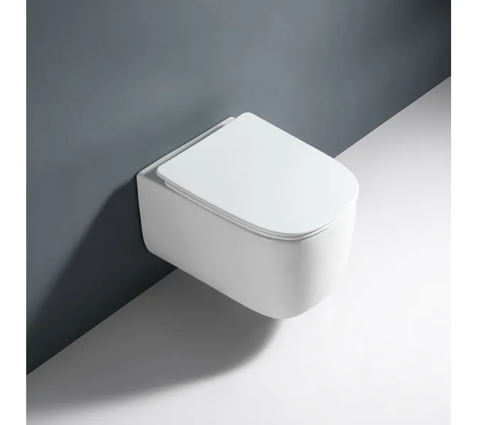 Унитаз подвесной RGW SW-53, изображение 13