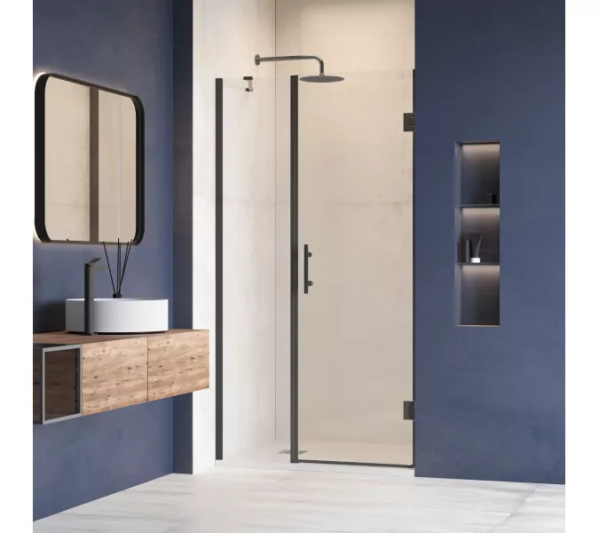 Душевая дверь RGW HO-012B, Цвет стекла: прозрачное, Цвет профиля (вариация): Черный, Выбрать размер: 120