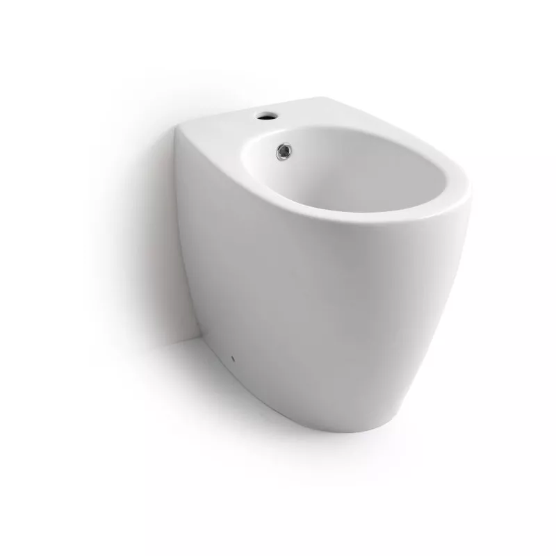 Санфаянс: Биде напольное White Ceramic Basic W020201 1 в магазине Акватория